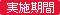 実施期間