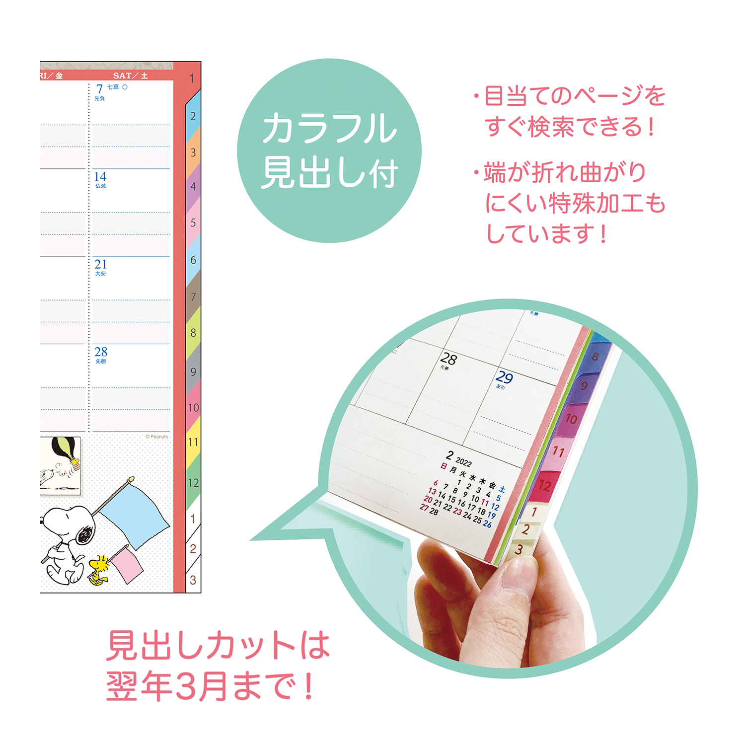 スヌーピー家族手帳®️Ｂ６ 薄型Ｆ（おえかき） – クツワ株式会社 -KUTSUWA-
