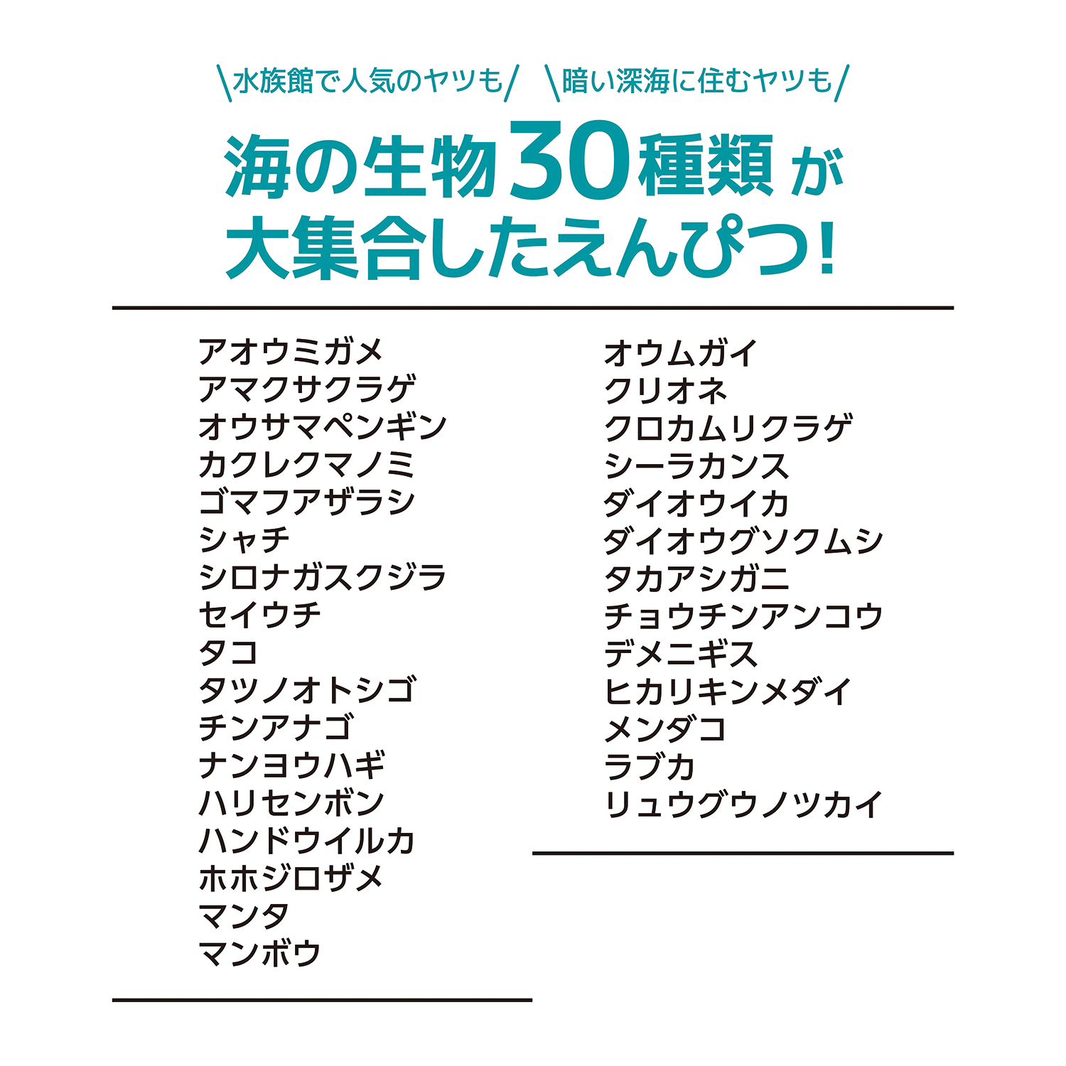 海洋えんぴつ 2b クツワ株式会社 Kutsuwa 海洋えんぴつ 2b クツワ株式会社 Kutsuwa
